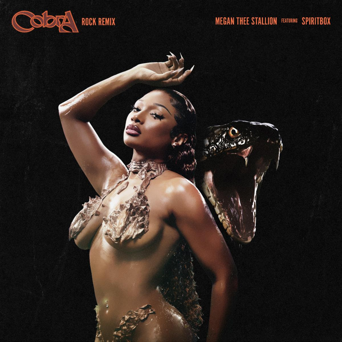 Megan Thee Stallion Cobra Remix 