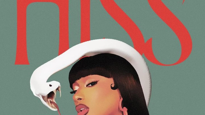 Megan Thee Stallion Hiss Review