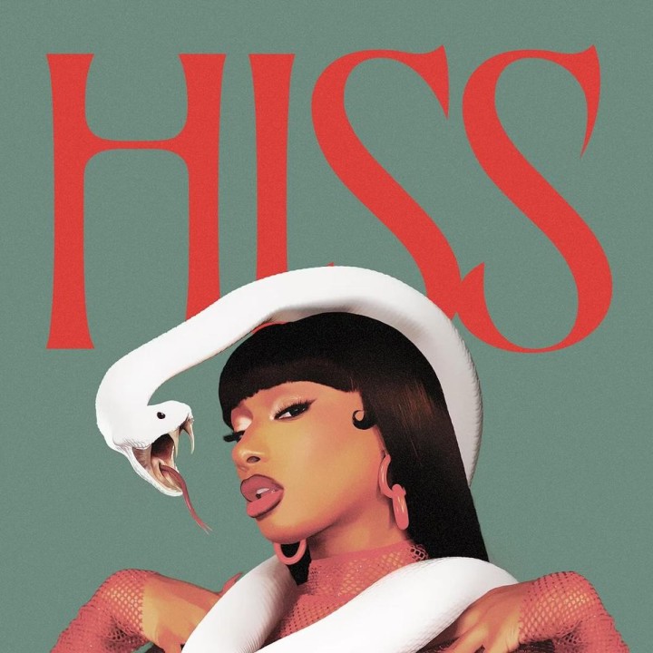 Megan Thee Stallion Hiss Review