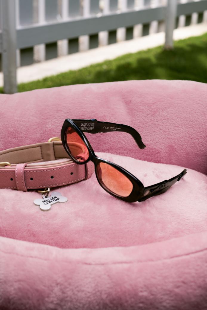 MELLER x Lazy Oaf