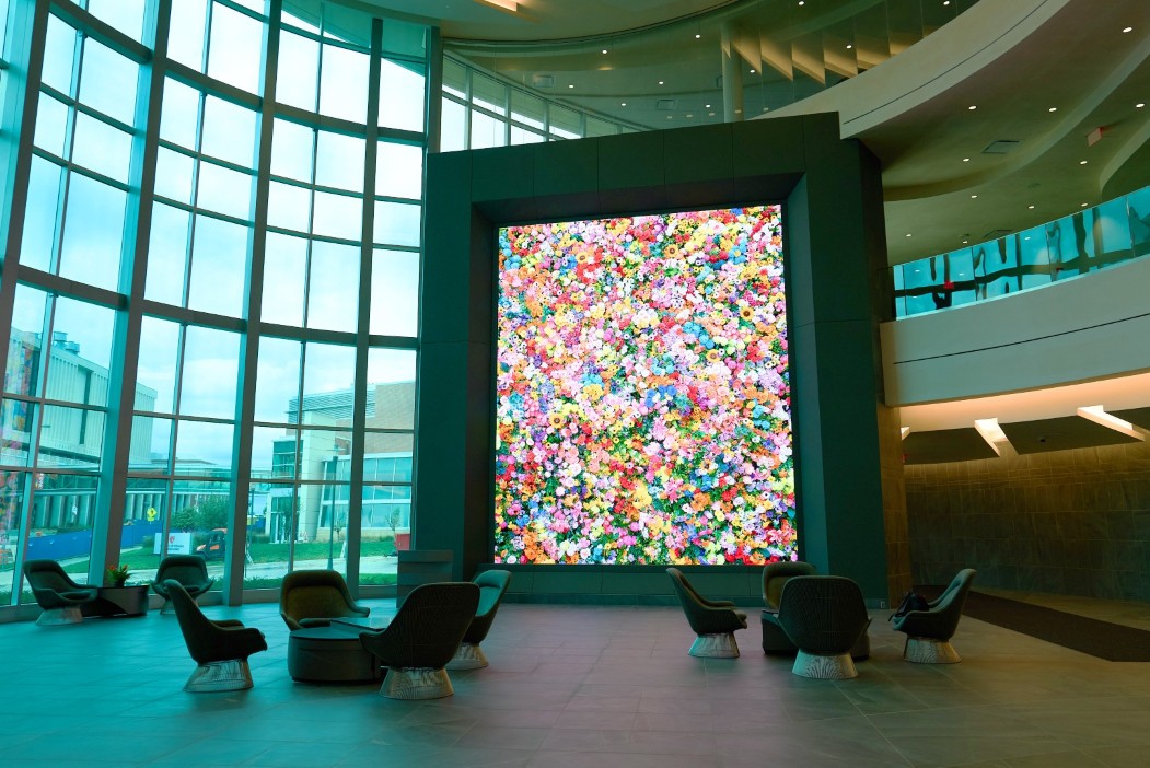 'Artist's Hands as Instrument' by Laurie Victor Kay