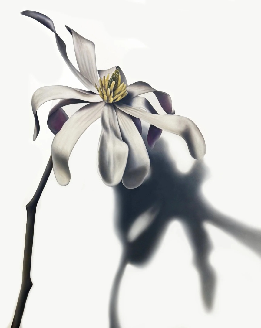 Renée Levin, 'Tender'